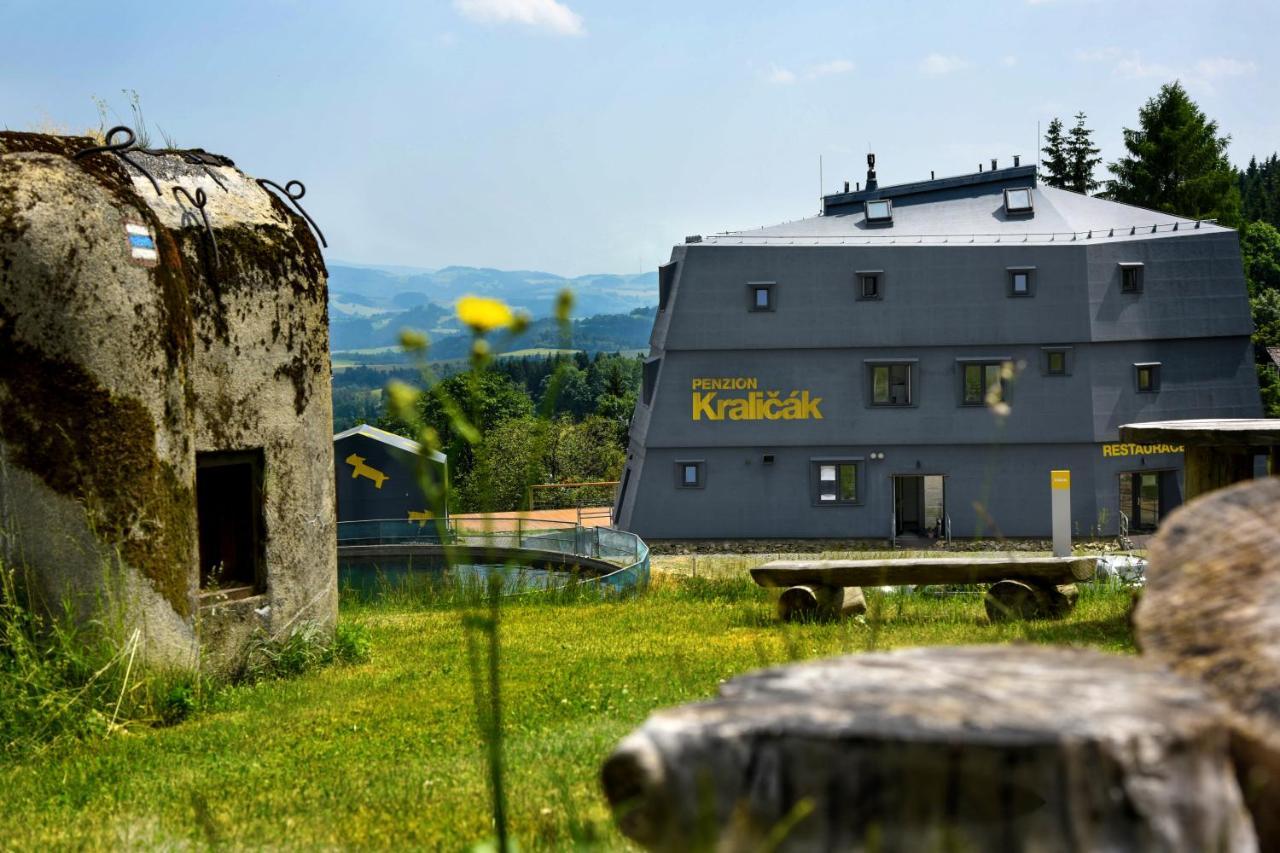 Penzion Kralicak Staré Město Kültér fotó